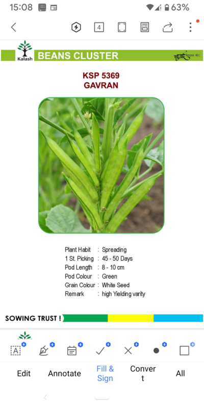 BEANS CLUSTER KSP 5389 GAVRAN SEEDLINGS BY KALASH