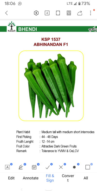 OKRA KSP 1513 ABHINANDAN F1 SEEDLINGS BY KALASH