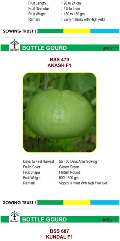 BOTTLE GOURD BSS 479 AKASH F1 SEEDLINGS BY KALASH