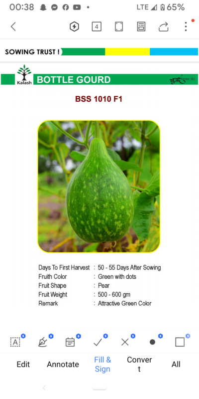 BOTTLE GOURD BSS 1010 F1 SEEDLINGS BY KALASH