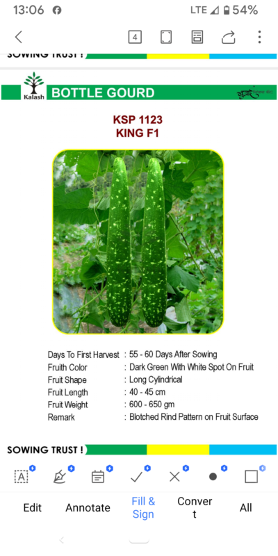 BOTTLE GOURD KSP 1123 KING F1 SEEDLINGS BY KALASH
