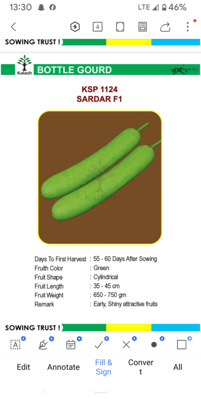BOTTLE GOURD KSP 1124 SARDAR F1 SEEDLINGS BY KALASH