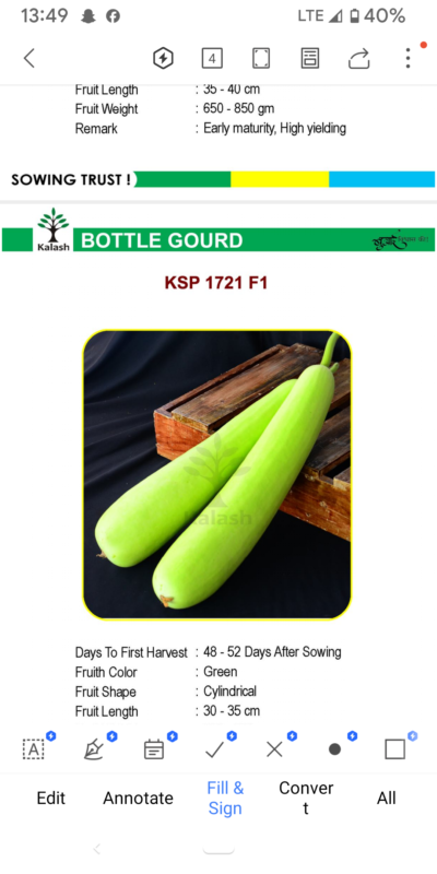 BOTTLE GOURD KSP 1721 F1 SEEDLINGS BY KALASH
