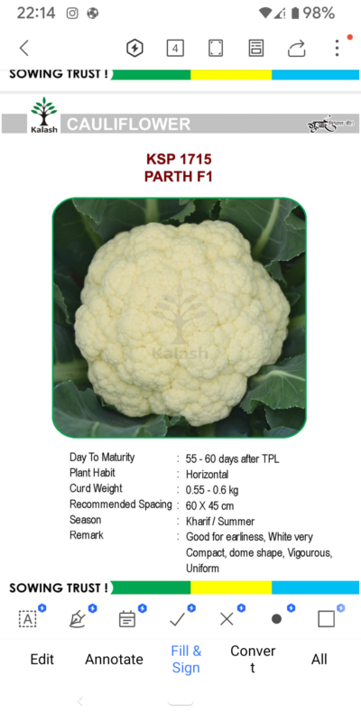 CAULIFLOWER KSP 1715 PARTH F1 SEEDLINGS BY KALASH