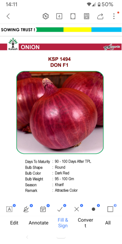 ONION KSP 1494 DON F1 SEEDLINGS BY KALASH