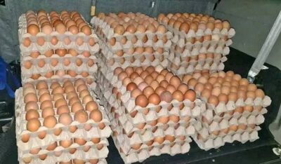 EGGS BY EUNICE FARMS