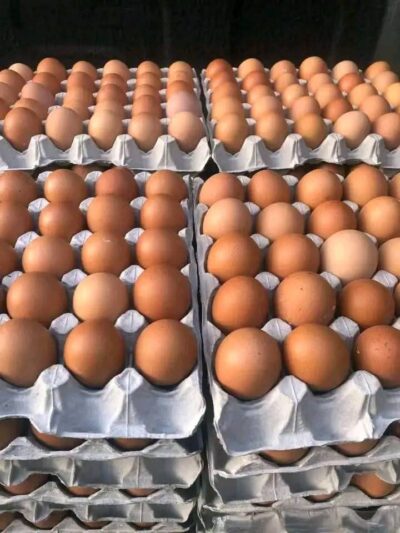 EGGS BY EUNICE FARMS