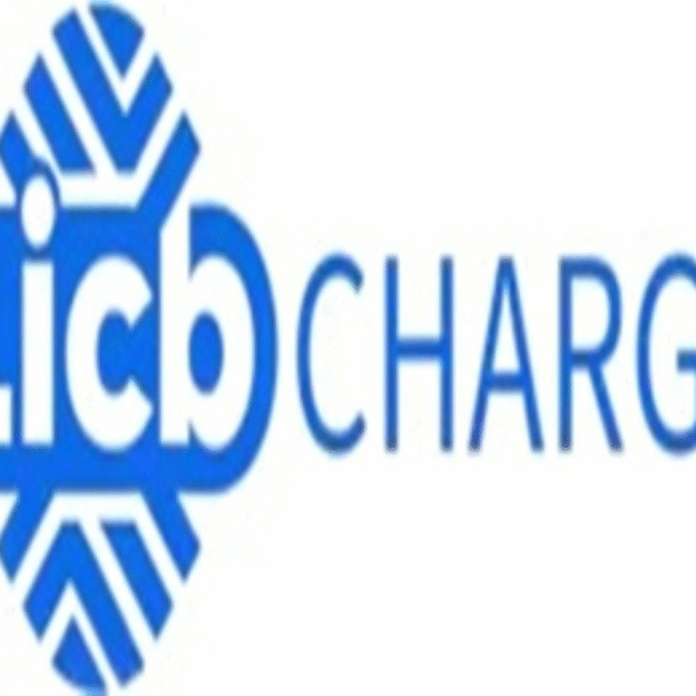 China LiCB AC DC EV Charger Co., Ltd